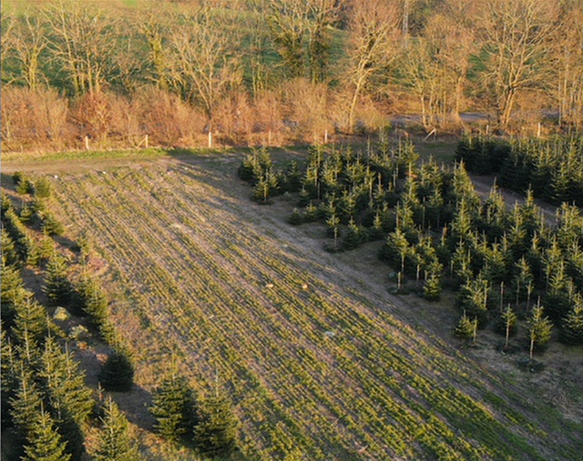 Drohnenflug ZweiHasen 2